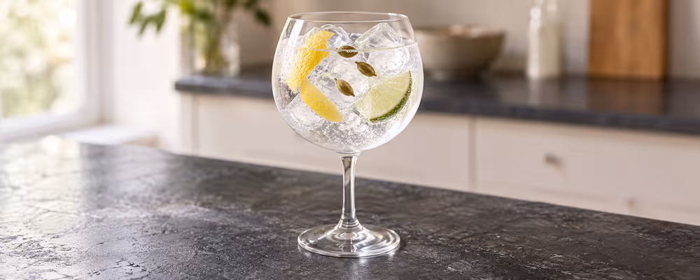 Spanish Gin & Tonic